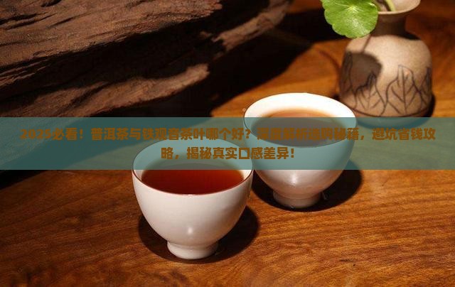 普洱茶与铁观音茶叶哪个好