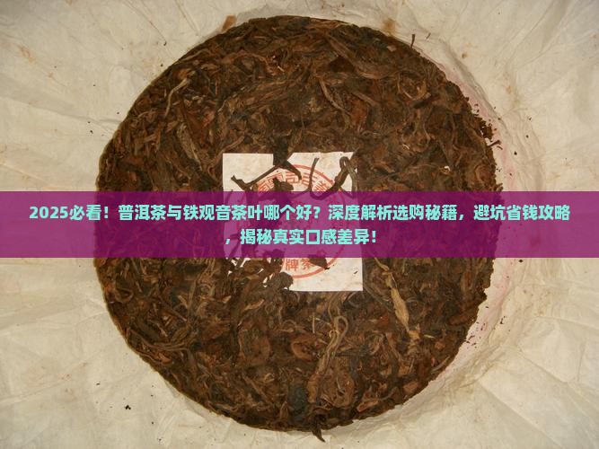 普洱茶与铁观音茶叶哪个好