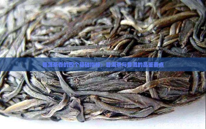 普洱茶香的四个基础指标 普洱茶香的四个基础指标