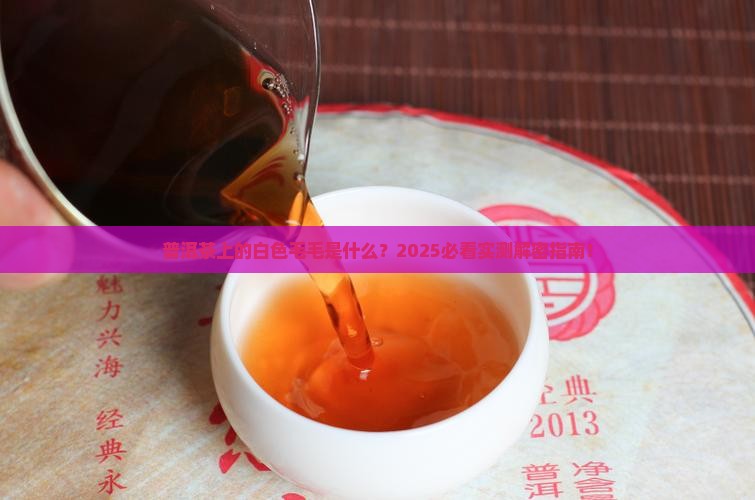 普洱茶长了白色的毛毛