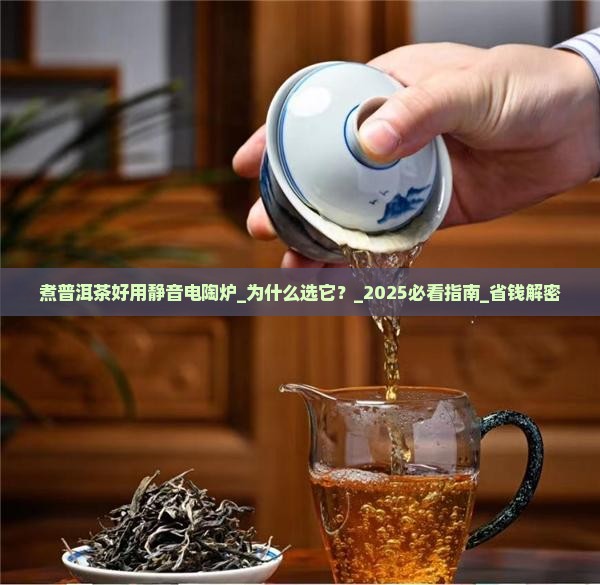 煮普洱茶好用静音电陶炉