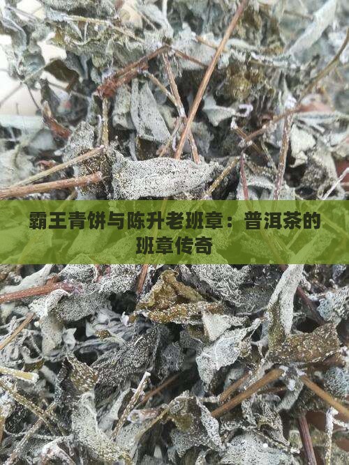 霸王青饼和老班章