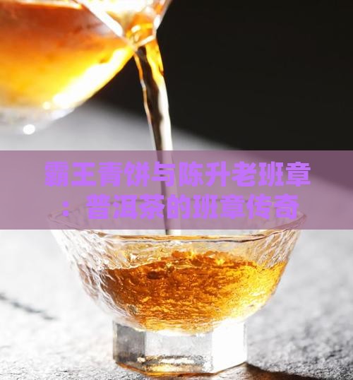 霸王青饼和老班章