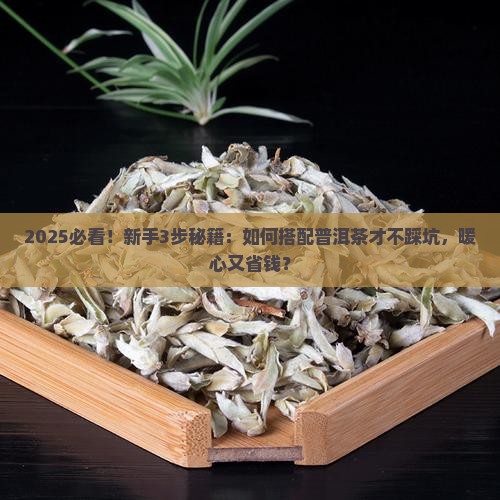 配合普洱茶的美文