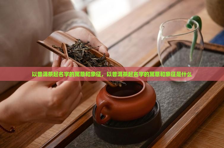以普洱茶起名字的寓意和象征
