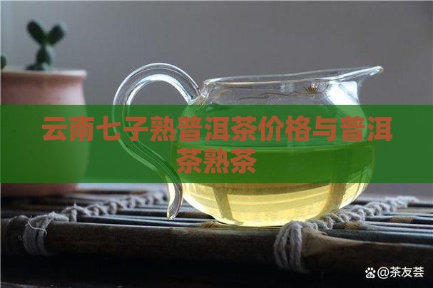 09年七子熟普洱茶