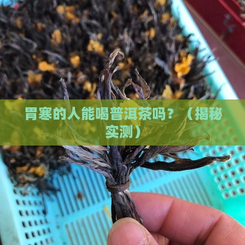 普洱茶胃寒的人能吃吗