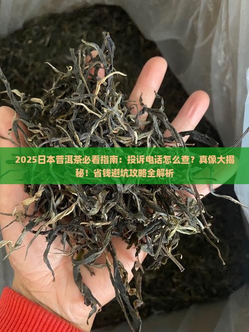 日本普洱茶消费者投诉电话