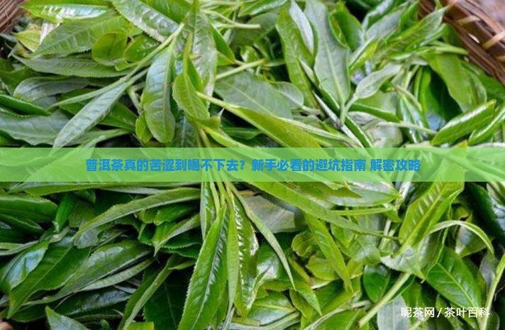 普洱茶苦涩味道大吗