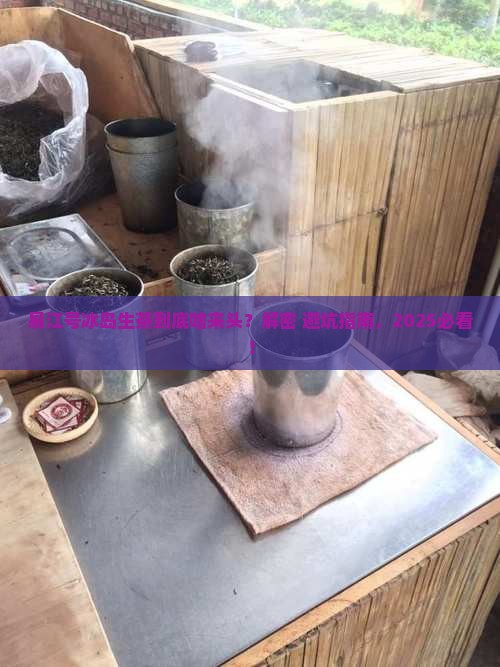 易江号冰岛生茶是什么茶