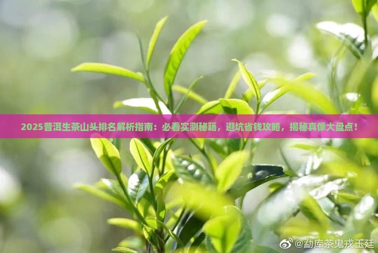 普洱生茶山头排名