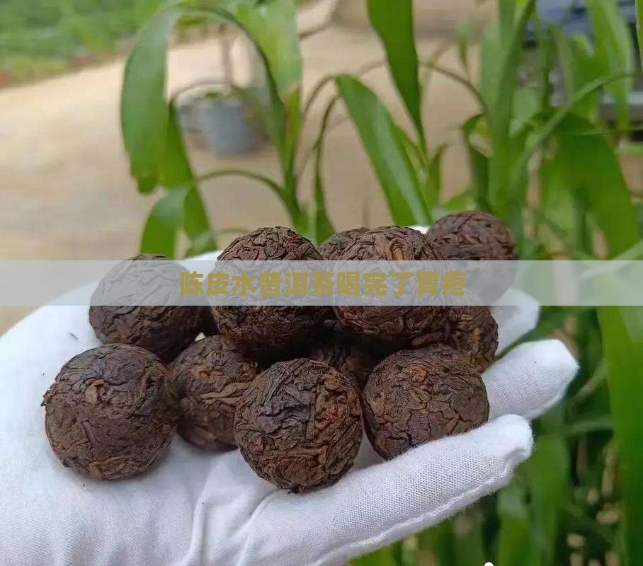 陈皮水普洱茶喝完了胃疼