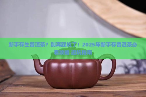 新手存生普洱茶