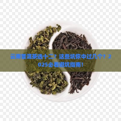 云南普洱茶选十二