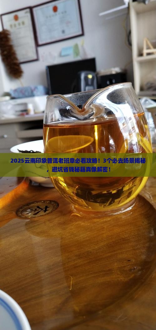 云南印象普洱老班章