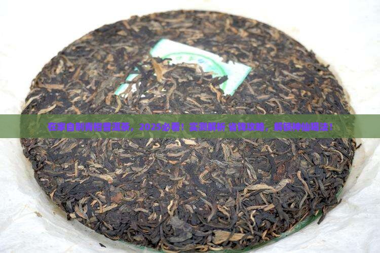 在家怎么泡青柑普洱茶喝