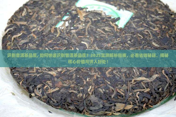 识别普洱茶品质