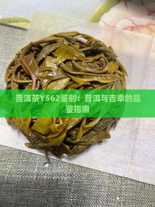普洱茶Y562鑒別