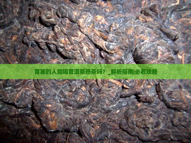 胃寒的人能喝普洱茶熟茶吗
