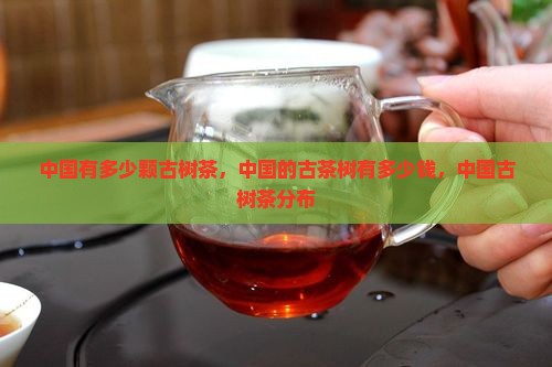 中国有多少颗古树茶