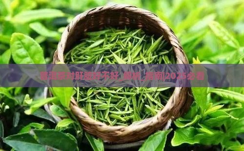 普洱茶对肝脏好不好
