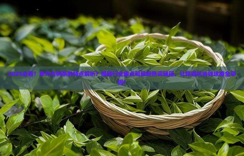 章外古树茶的特点
