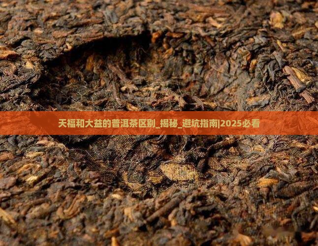天福和大益的普洱茶区别