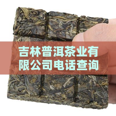 吉林普洱茶生产厂家电话