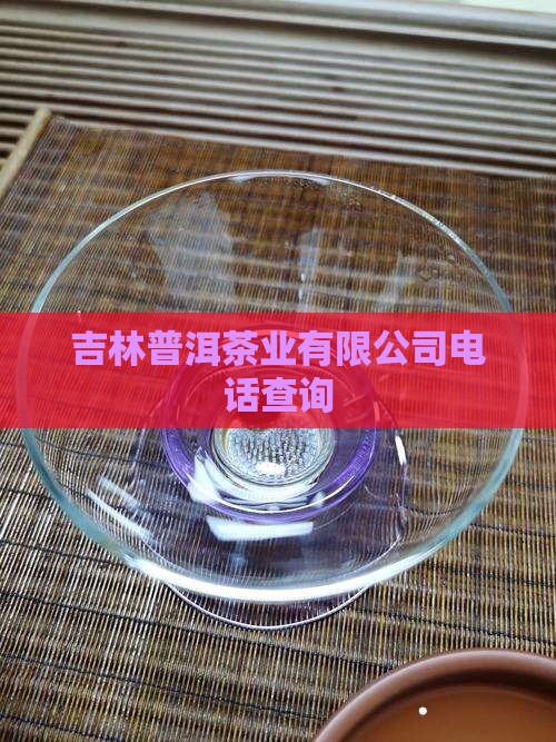 吉林普洱茶生产厂家电话