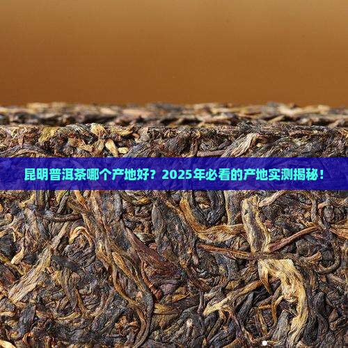 昆明普洱茶哪个产地好