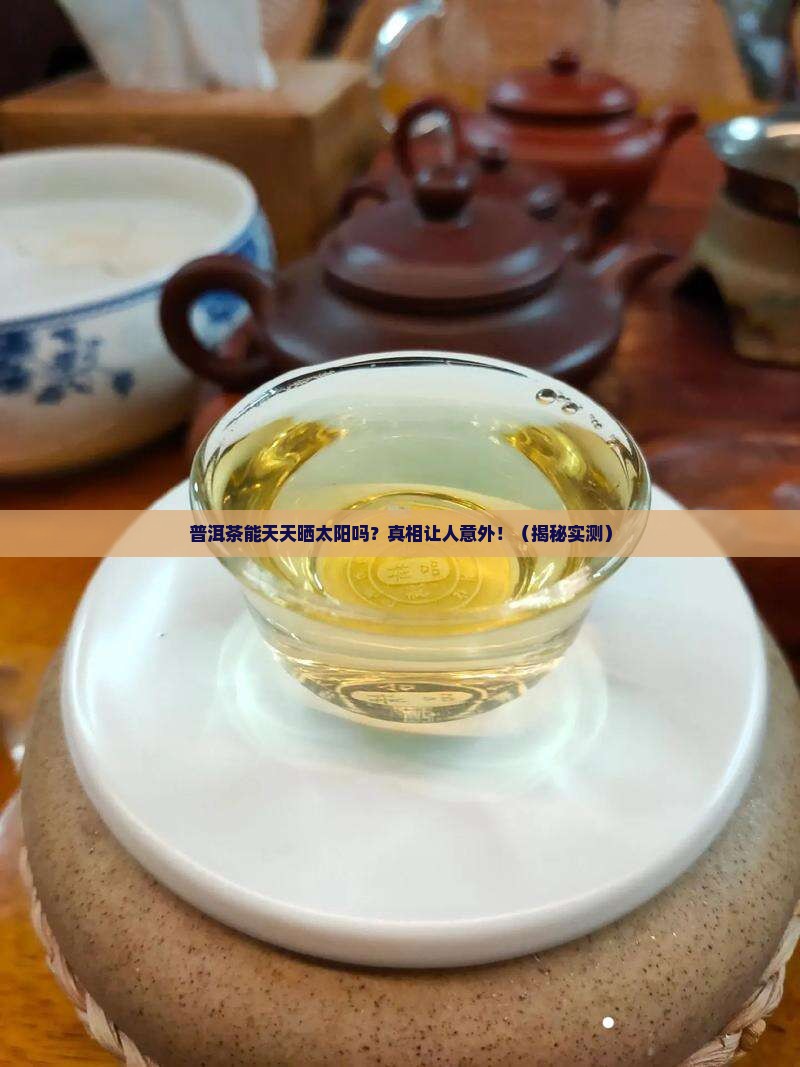 普洱茶可以经常晒太阳吗
