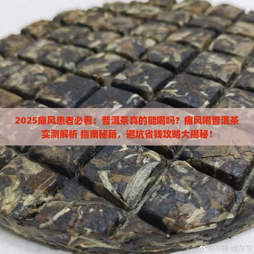痛风能喝普洱茶不