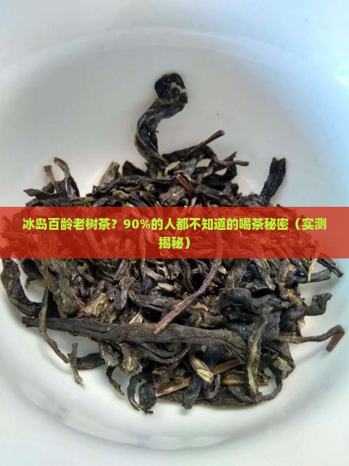 冰岛百龄老树茶