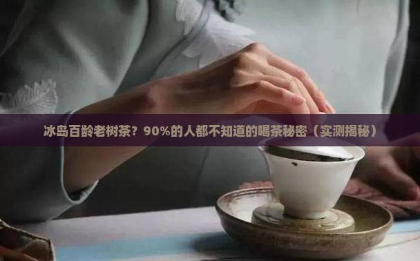 冰岛百龄老树茶