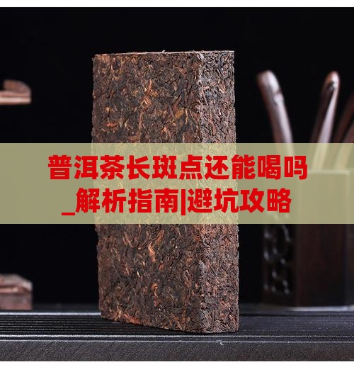 普洱茶长斑点还能喝吗