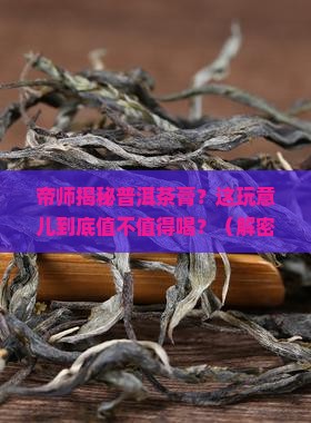 帝师谈普洱茶膏