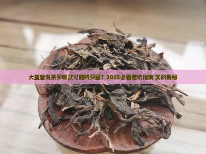 大益普洱茶买哪款可能购买藏