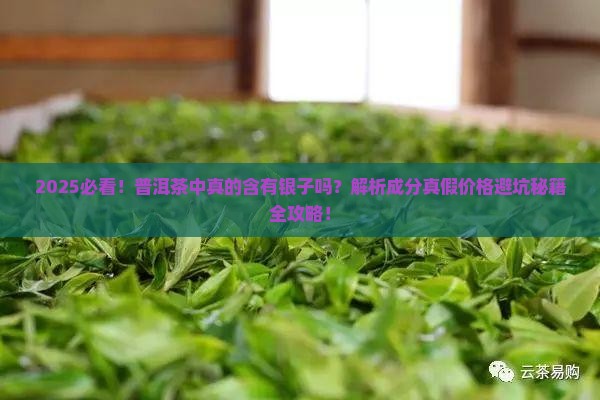普洱茶中含有银子吗