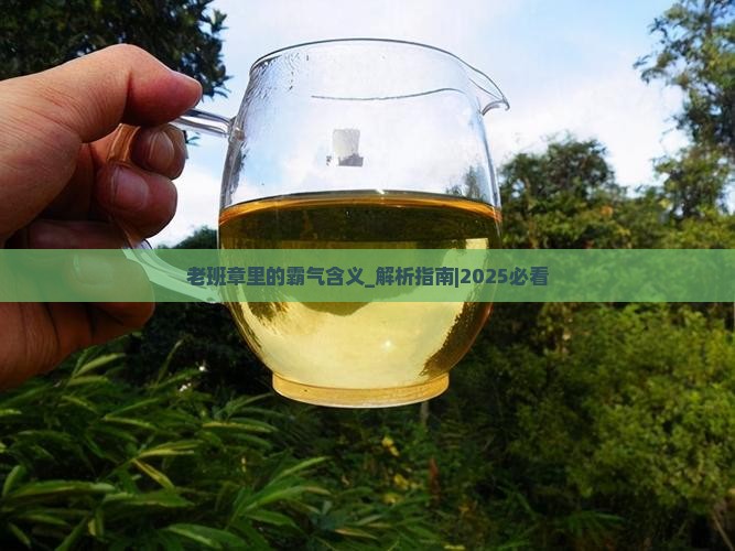 老班章里的霸气含义