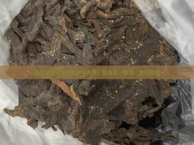 小昔归会员茶的功效与作用