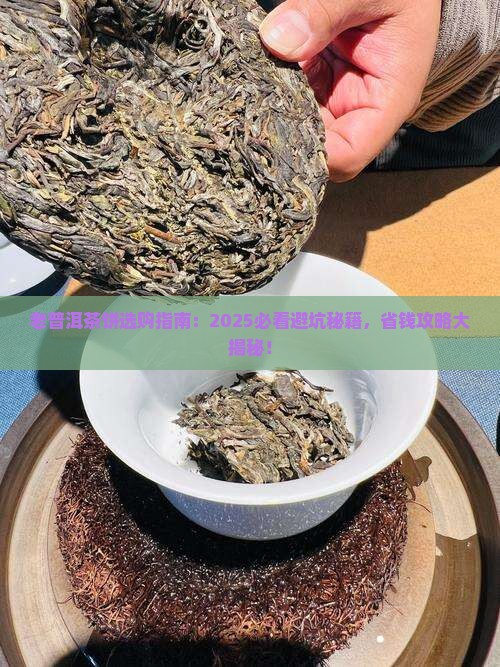 老普洱茶饼怎么选购的好坏