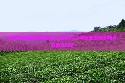 送小布袋装的普洱茶好吗