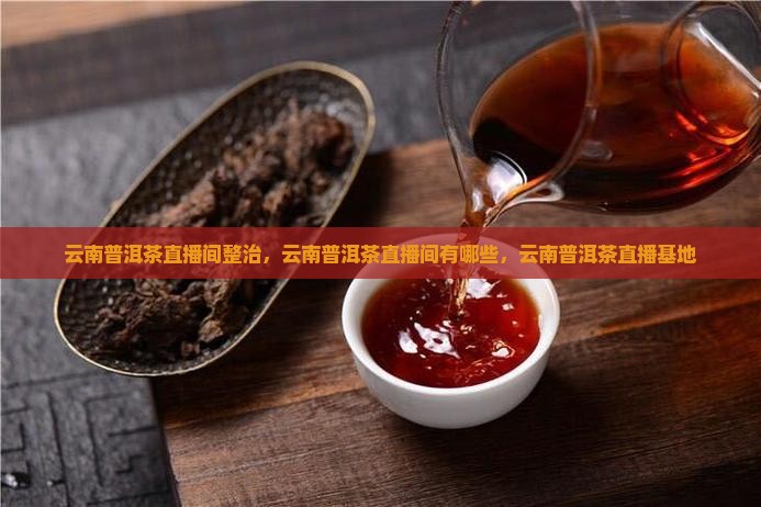 云南普洱茶直播间