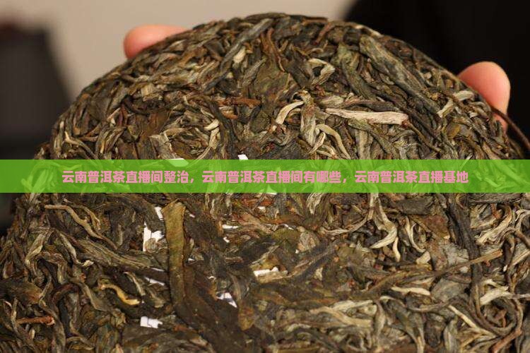 云南普洱茶直播间