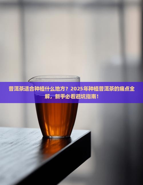 普洱茶适合种植什么地方