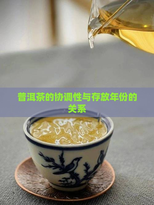 普洱茶的协调性有多少年
