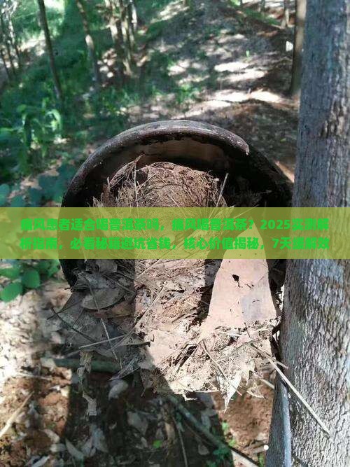 痛风患者适合喝普洱茶吗