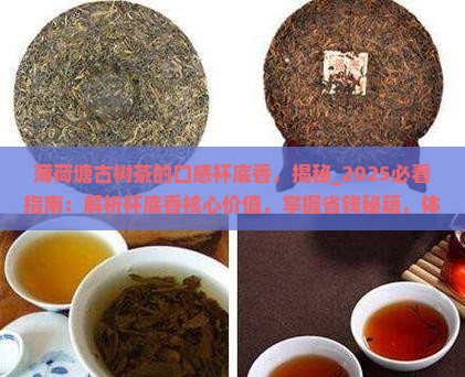 薄荷塘古树茶的口感杯底香