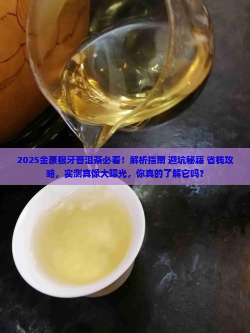 金豪银牙普洱茶