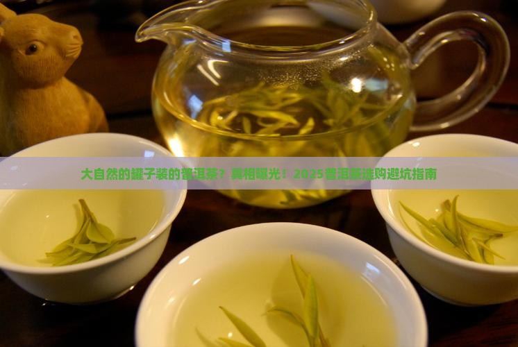 大自然的罐子装的普洱茶